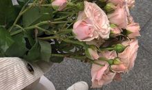 倦了累了的句子