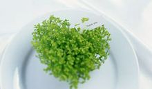 友情动漫经典句子