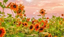 新的一年新的开始说说短句