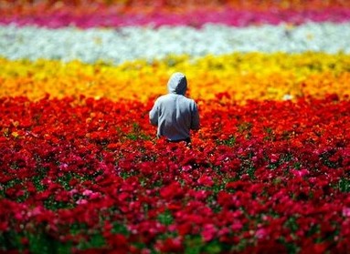 15.当我有时间我以为我发现了我想要的幸福，但是当我没有保留它时，我发现我一直是我的愿望。