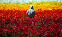 最悲伤的说说心情短语