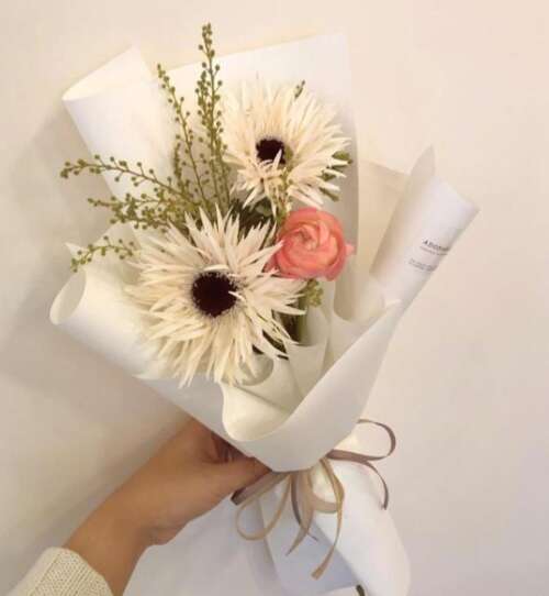 密集句子简介的句子的事情