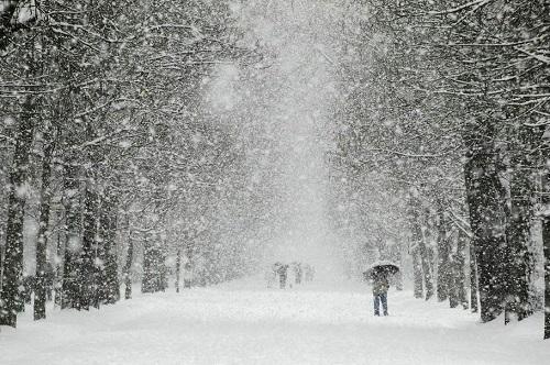 冷波击中短信问候