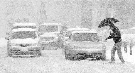 冷波击中短信问候1