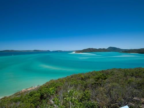 物业中介问候短信1