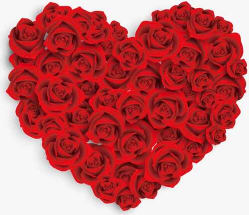 玫瑰卡消息短消息