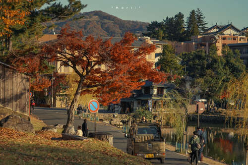 20，╰°闪烁看李白