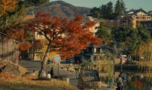 王者打野的网名大全