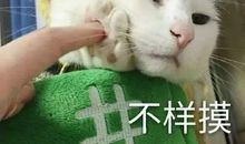 最火搞笑文案短句