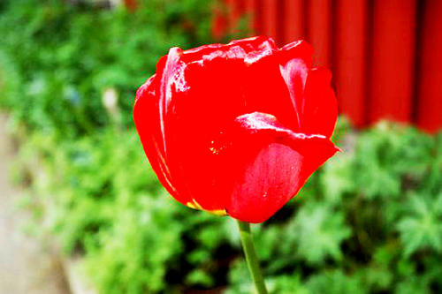 穿着句子1在晚上