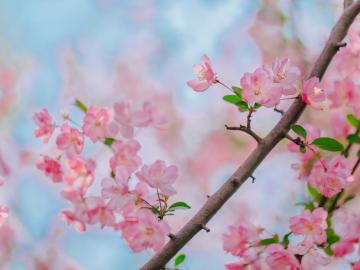 15,并非所有伤口,都可以用纸覆盖。