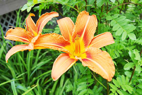 表达一个沮丧的句子1