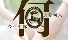 我好心烦的句子说说心情