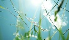 心烦没人疼的句子