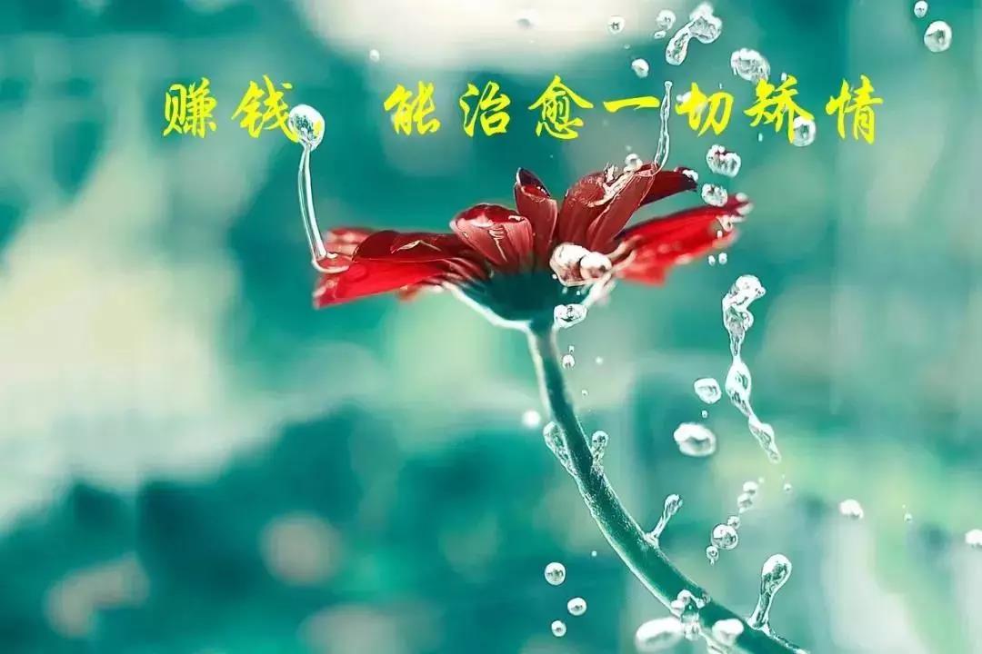 温柔和温暖的积极能量判决