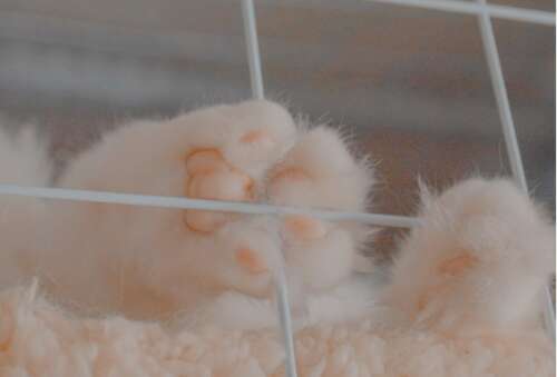 甜蜜的朋友圈文本，可爱的顽皮句子