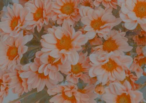 25.孩子的巧克力落到了地上，似乎说，似乎是泥，你听过它，我想念你。