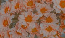 甜美朋友圈文案 可爱调皮的句子