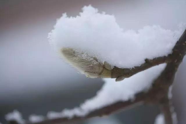 描述美丽的第2节