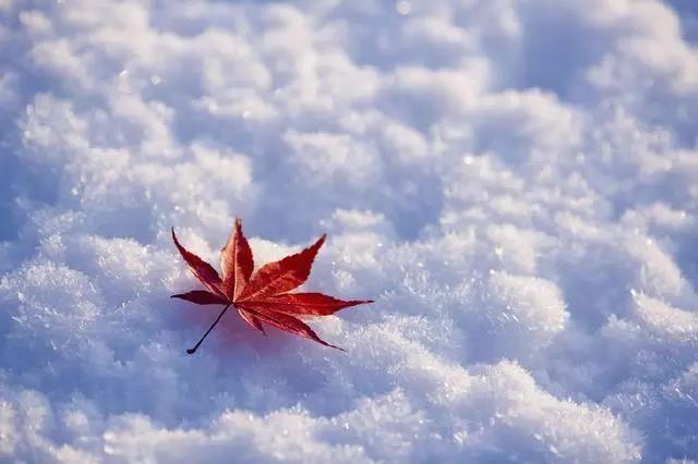 描述冬季景色的美妙诗