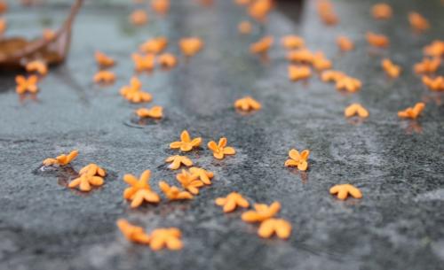 暑期健康周末问候短信