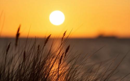 经典的周末短信问候