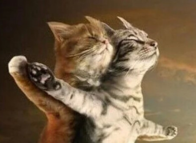 心情的悲伤很伤心