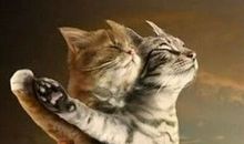 心情失落的伤感说说