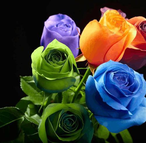 15,歌曲正在唱歌,葡萄酒是信心的,感情是距离,心脏在思考,这个月是帝国,明星是美丽的,桥是等着,我希望你祝福你是幸福的马上。早上好。