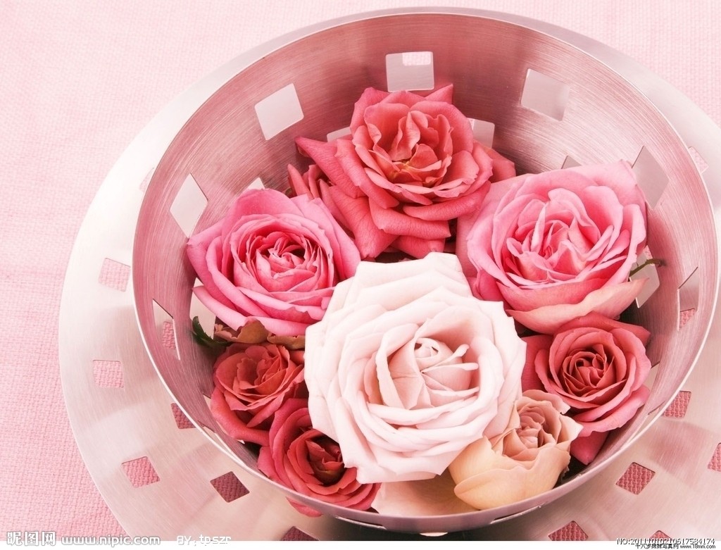 15.世界是一个幸福的事情。