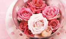 友情梅子酒唯美句子