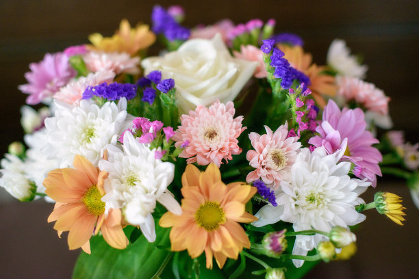 友谊不足以做这句话1