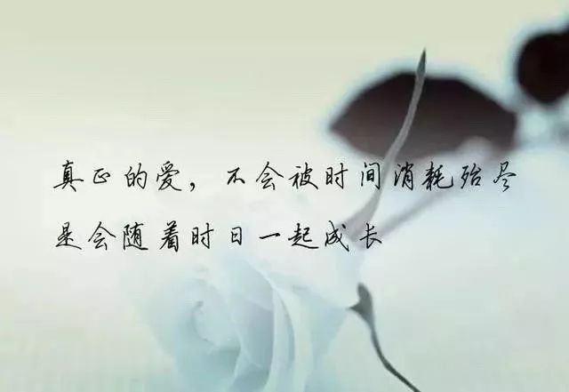 自我满足句子告诉友谊2