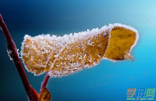 适合无霜的朋友