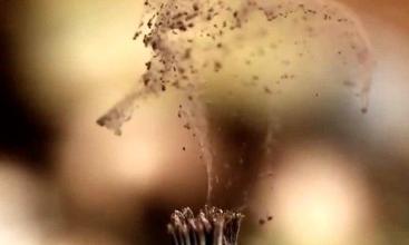 描述人们的脑袋句子