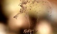 形容人唠叨心烦的句子