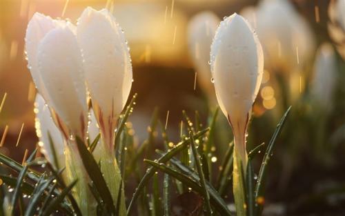 睡觉，直到你在半夜醒来