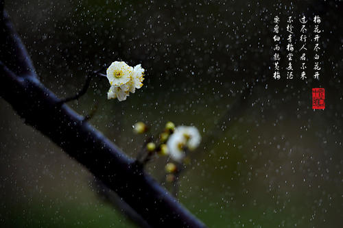 睡觉，直到你夜晚醒来1