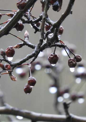 当你心烦意乱时，句子平静下来