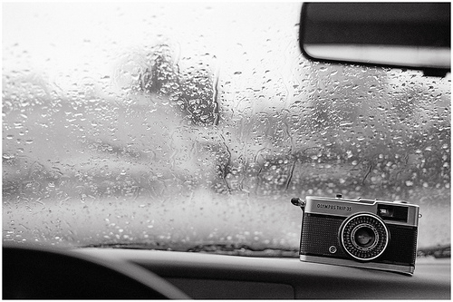 朋友们失去了麻烦，如何舒适判决2