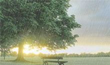 发朋友圈心烦的句子