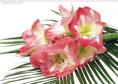 孤独的句子1为友谊1