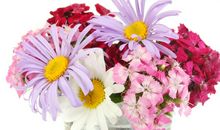 适合写在相册上的句子友情