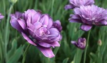 关于友情说散就散的句子