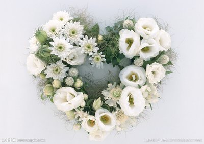 不清楚的爱情或友谊判决2