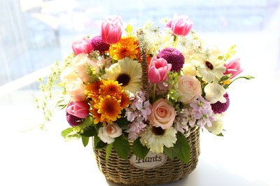 文人的友谊句子1