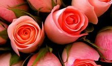 关于甜品牵引友情的唯美句子