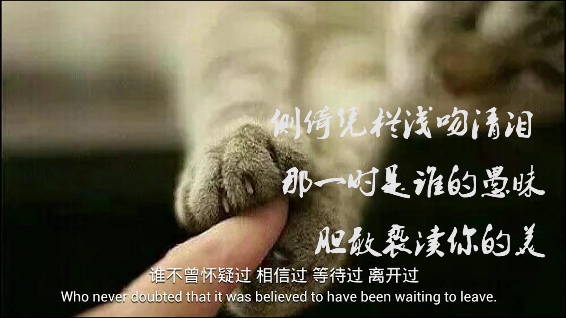 只要你不喜欢爱情，就会判刑