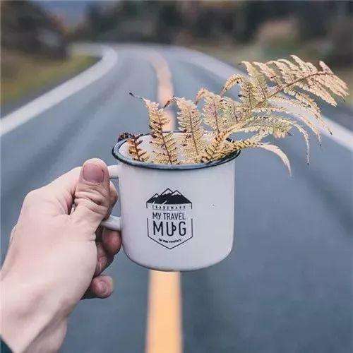 只要友谊不爱句子1