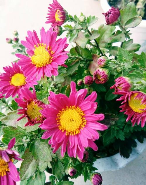 15.始终预见到另一方的需要，而不是你需要的真正友谊。 -  Moiria